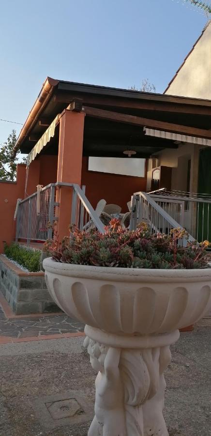 Casa Vacanze Mimose Palinuro Exterior photo