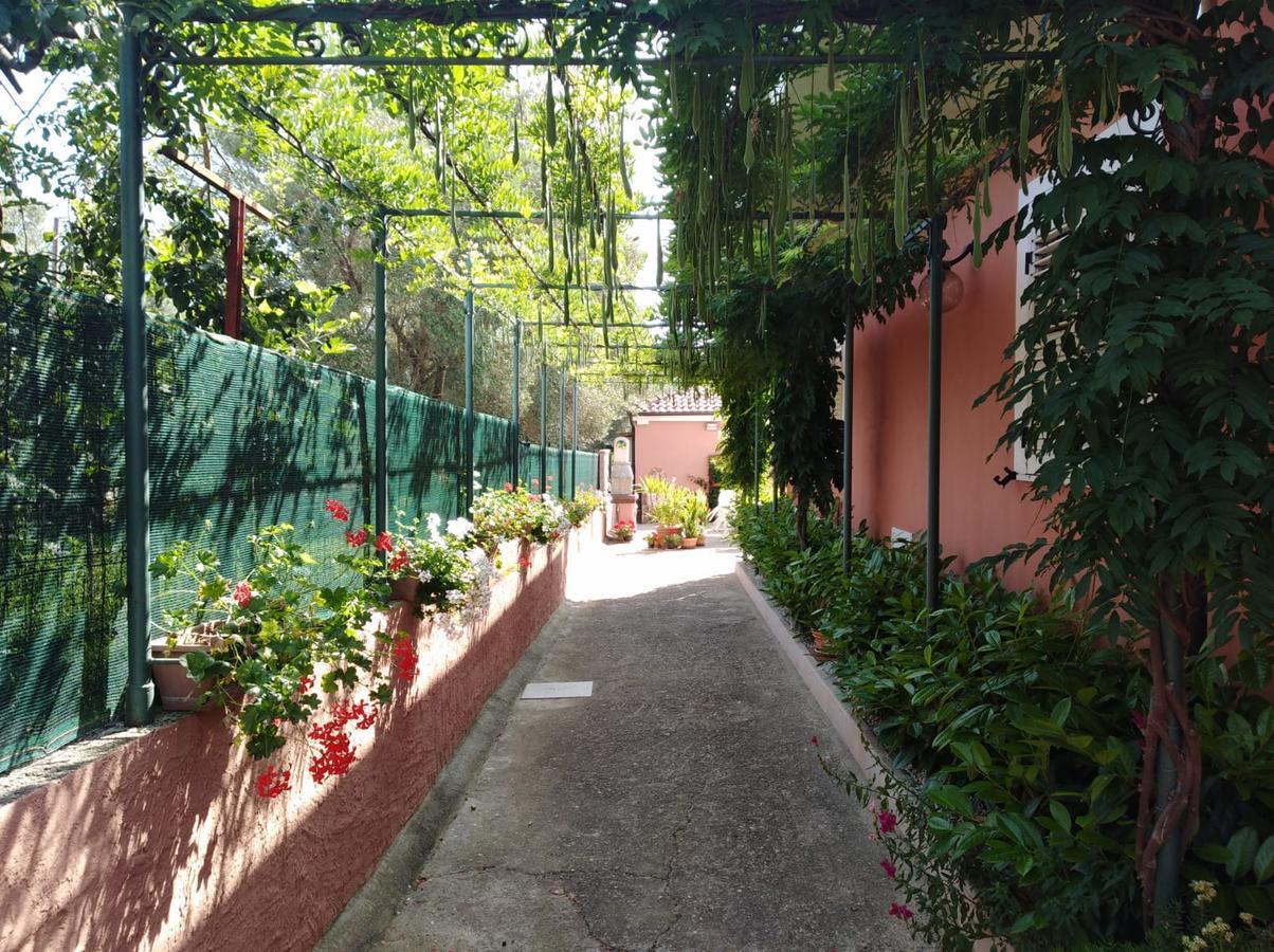 Casa Vacanze Mimose Palinuro Exterior photo
