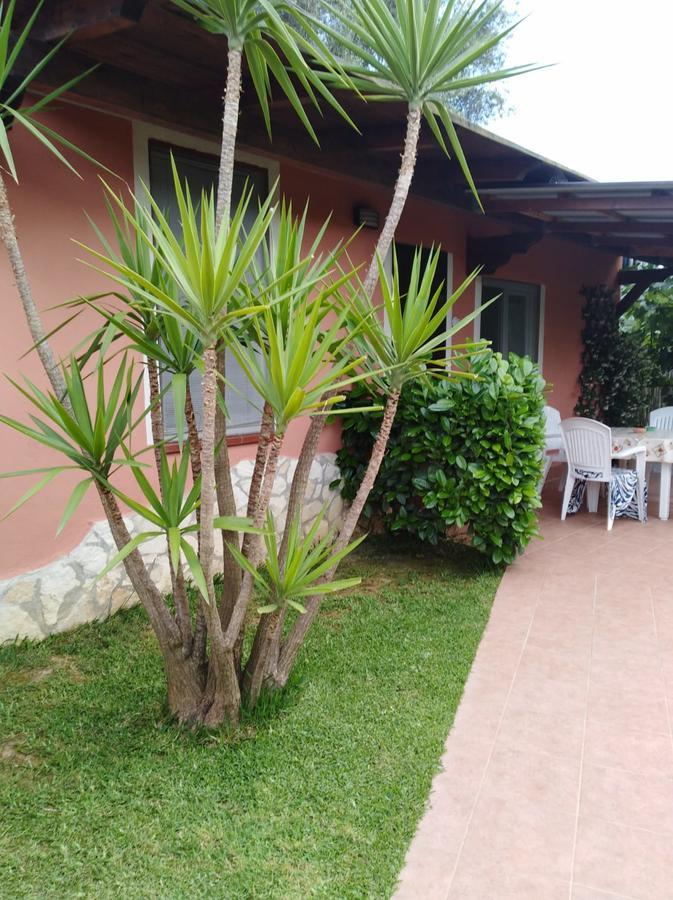 Casa Vacanze Mimose Palinuro Exterior photo
