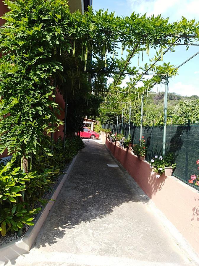 Casa Vacanze Mimose Palinuro Exterior photo