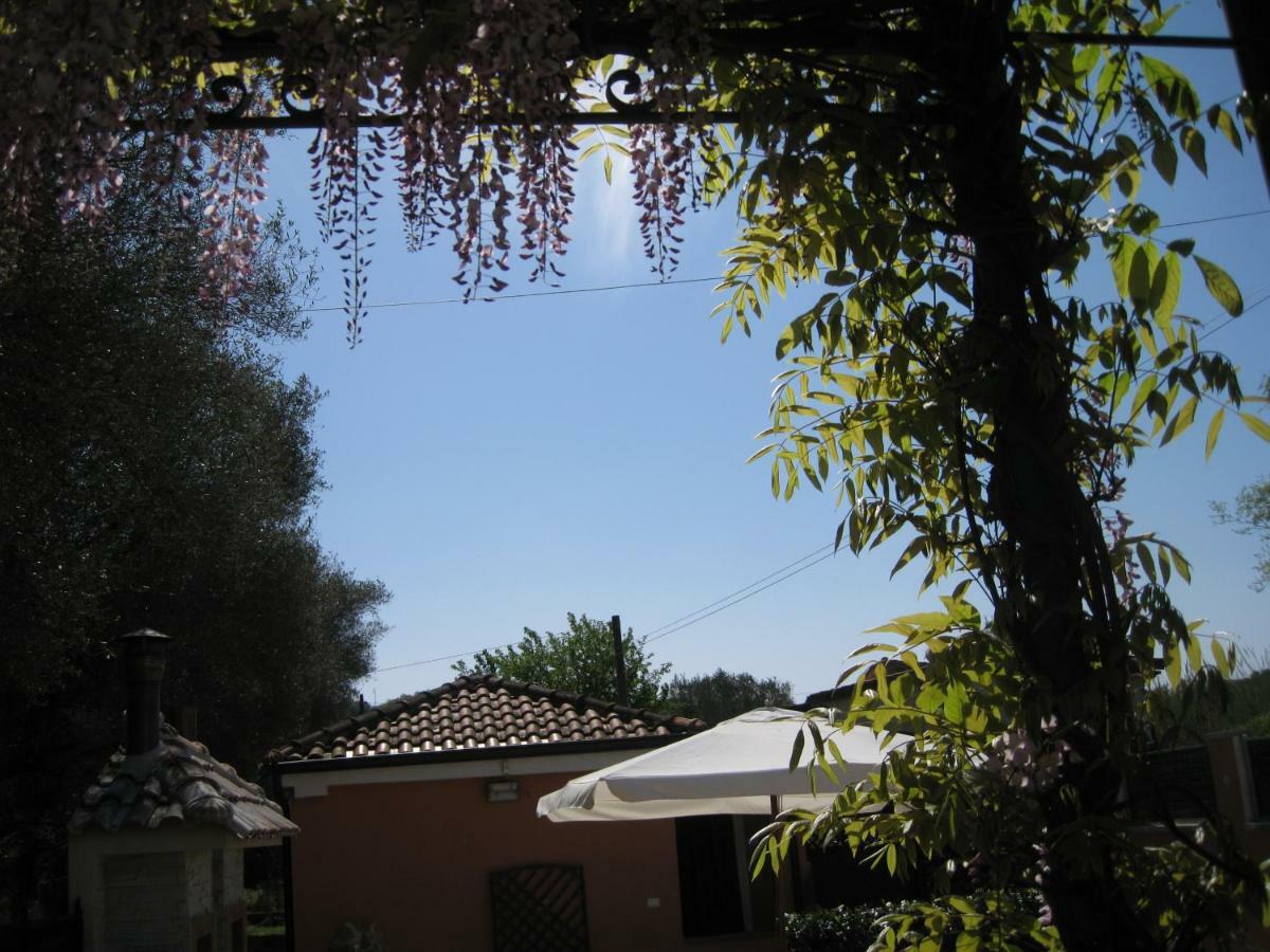 Casa Vacanze Mimose Palinuro Exterior photo